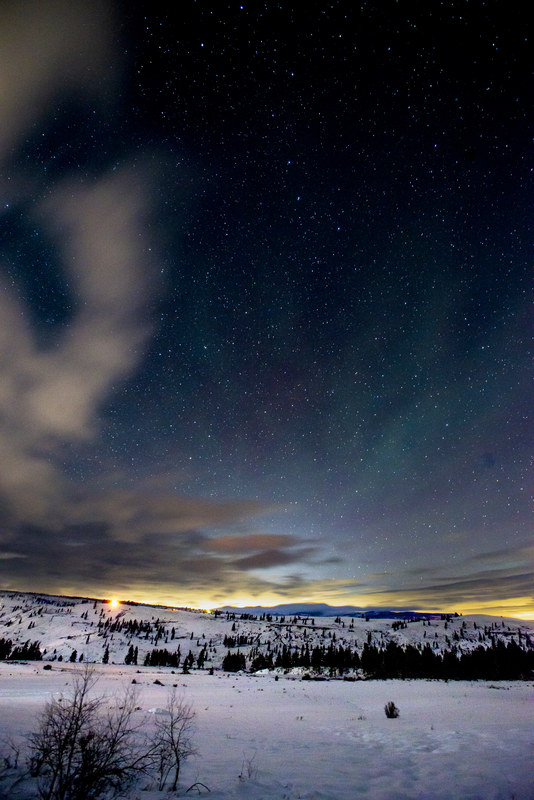 Star-filled sky over snowy winter landscape with tree line silhouette and warm horizon glow
